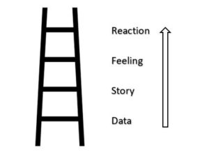 The Ladder of Inference - Adapted from a model by Chris Argyris